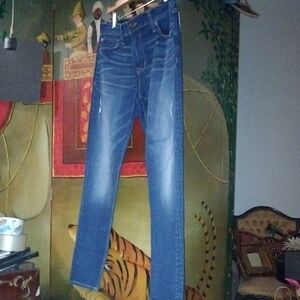 Hudson Jeans Ankle Krista Skinny Denim